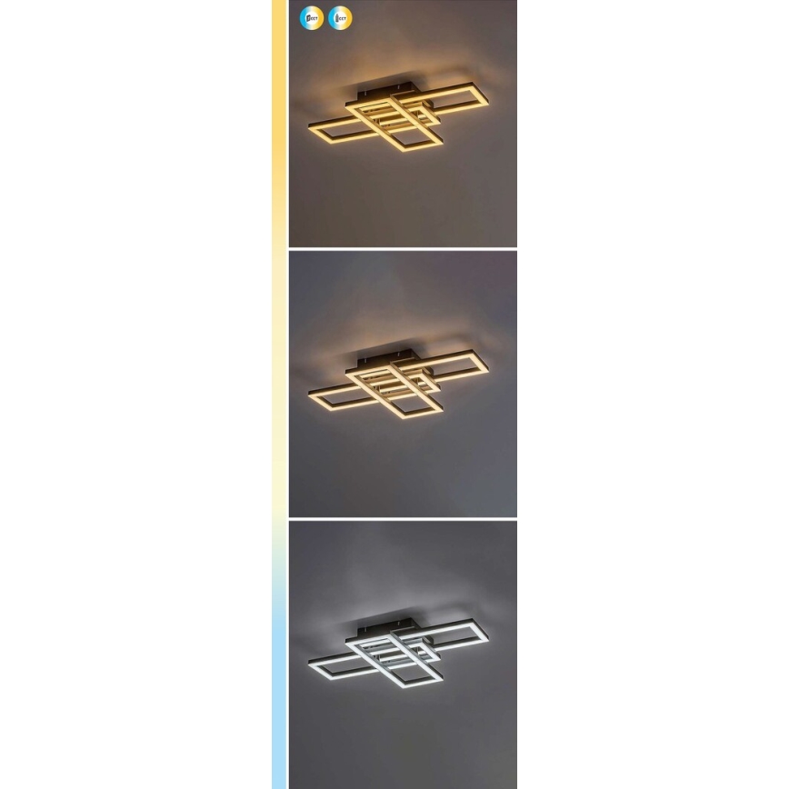 Rabalux - Zatemnjiva LED stropna svetilka LED/40W/230V 3000-6500K + daljinski upravljalnik 35x50 cm