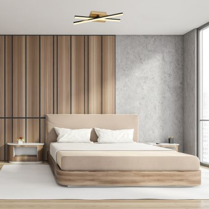 Rabalux - LED stropno svetilo LED/16W/230V 4000K 13x41 cm