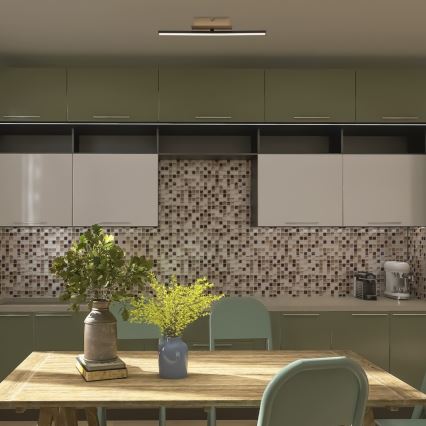 Rabalux - LED Stropna svetilka LED/8W/230V 4000K