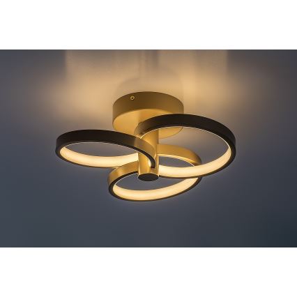 Rabalux - LED zatemnljiva stropna svetilka LED/32W/230V 3000-6500K premer 31 cm bež + daljinsko upravljanje