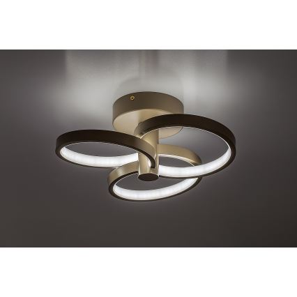 Rabalux - LED zatemnljiva stropna svetilka LED/32W/230V 3000-6500K premer 31 cm bež + daljinsko upravljanje