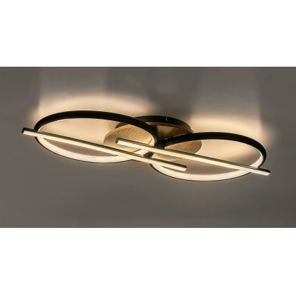 Rabalux - LED Stropna svetilka LED/40W/230V 3000/4000/6500K