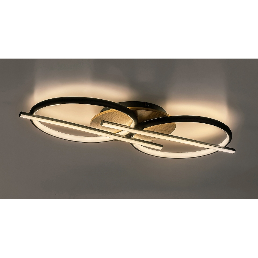 Rabalux - LED Stropna svetilka LED/40W/230V 3000/4000/6500K