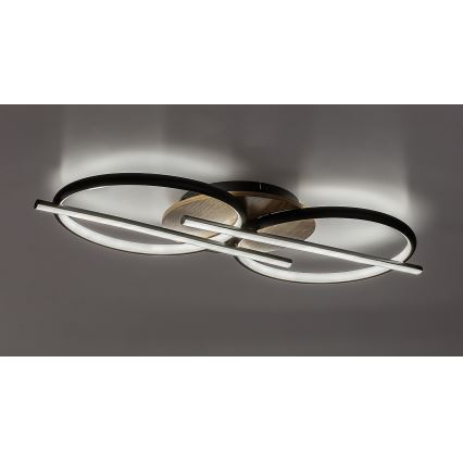 Rabalux - LED Stropna svetilka LED/40W/230V 3000/4000/6500K