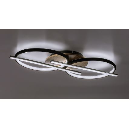Rabalux - LED Stropna svetilka LED/40W/230V 3000/4000/6500K