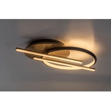 Rabalux - LED Stropna svetilka LED/40W/230V 3000/4000/6500K