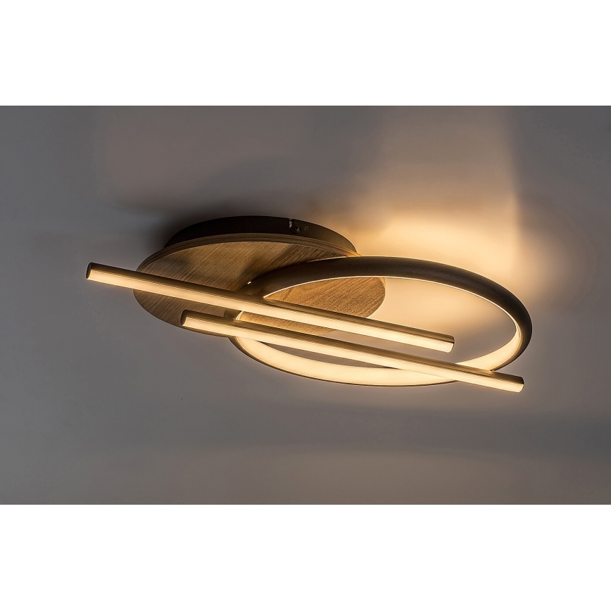 Rabalux - LED Stropna svetilka LED/40W/230V 3000/4000/6500K