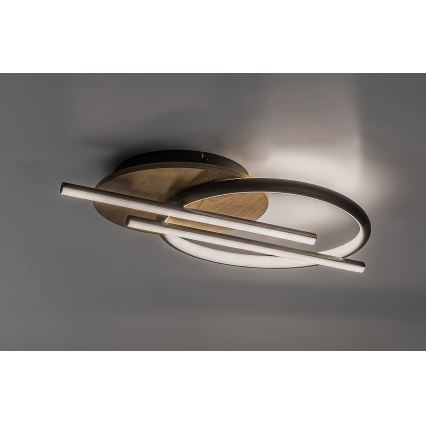 Rabalux - LED Stropna svetilka LED/40W/230V 3000/4000/6500K