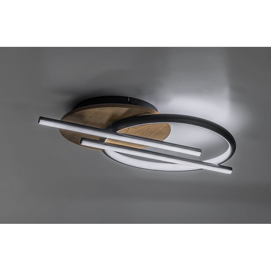 Rabalux - LED Stropna svetilka LED/40W/230V 3000/4000/6500K