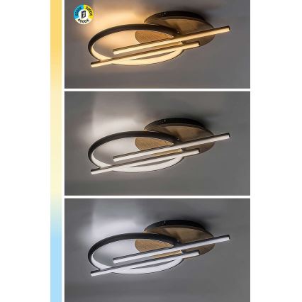 Rabalux - LED Stropna svetilka LED/40W/230V 3000/4000/6500K