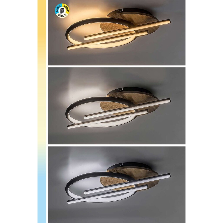 Rabalux - LED Stropna svetilka LED/40W/230V 3000/4000/6500K