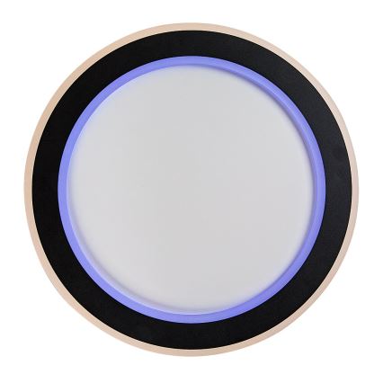 Rabalux - LED RGB Zatemnitvena stropna svetilka LED/22W/230V 3000-6500K + Daljinski upravljalnik