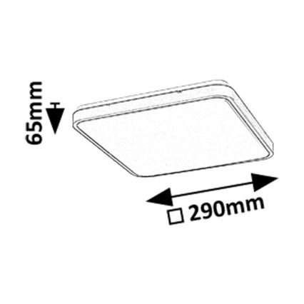 Rabalux - LED Kopalniška stropna svetilka LED/24W/230V 3000/4000/6000K IP44 29x29 cm črna