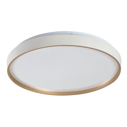 Rabalux - LED zatemnjevalna stropna svetilka LED/34W/230V 3000-6500K pr. 38 cm + daljinski upravljalnik