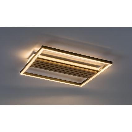 Rabalux - LED stropna svetilka LED/30W/230V 3000/4500/6000K