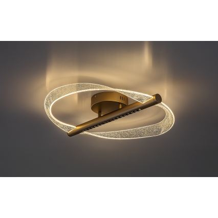 Rabalux - LED stropna svetilka LED/24W/230V, premer 52 cm