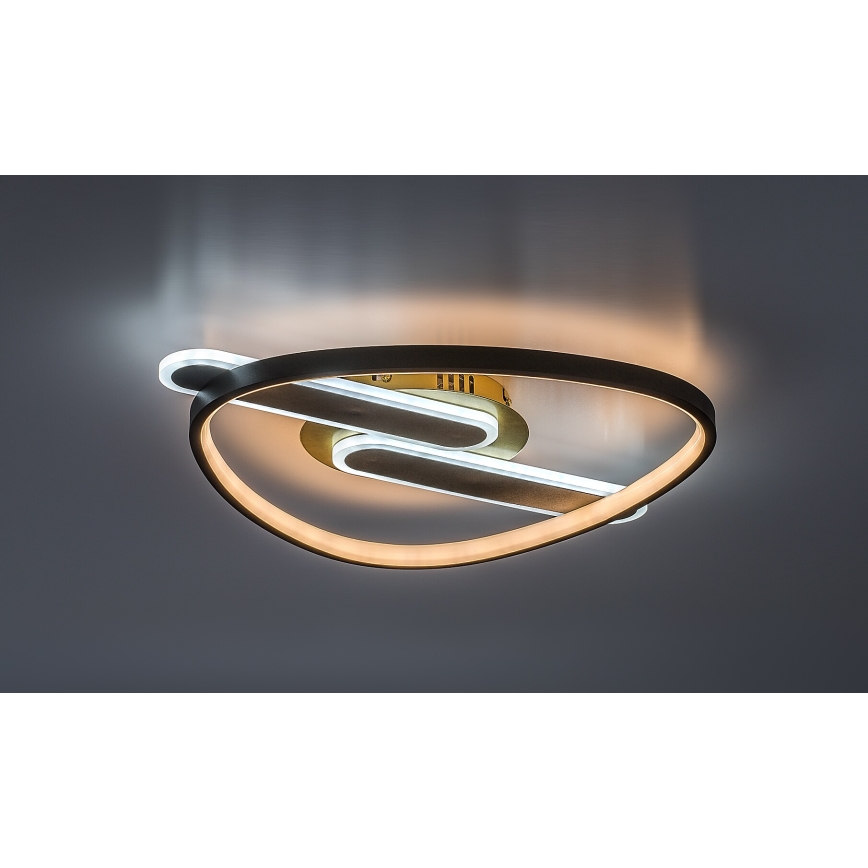 Rabalux - LED stropna svetilka z možnostjo zatemnitve LED/60W/230V 3000-6000K 53x45 cm + daljinski upravljalnik