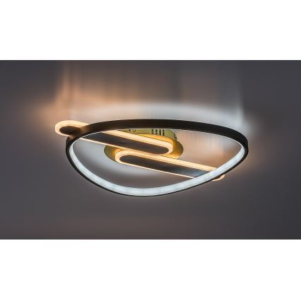 Rabalux - LED stropna svetilka z možnostjo zatemnitve LED/60W/230V 3000-6000K 53x45 cm + daljinski upravljalnik
