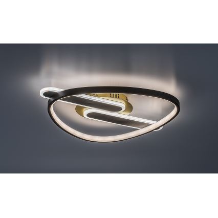Rabalux - LED stropna svetilka z možnostjo zatemnitve LED/60W/230V 3000-6000K 53x45 cm + daljinski upravljalnik