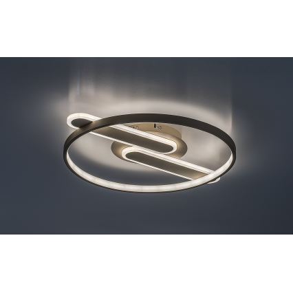 Rabalux - Zatemnljivo stropno LED svetilo LED/55W/230V 3000-6000K 53x45 cm + daljinski upravljalnik