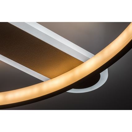 Rabalux - Zatemnljivo stropno LED svetilo LED/55W/230V 3000-6000K 53x45 cm + daljinski upravljalnik