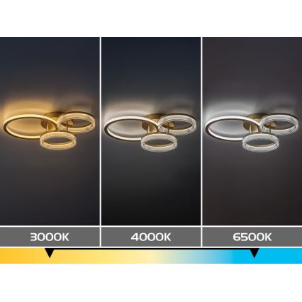 Rabalux - LED zatemnljivo stropno svetilo LED/38W/230V 3000-6500K 58,5x38 cm + daljinski upravljalnik
