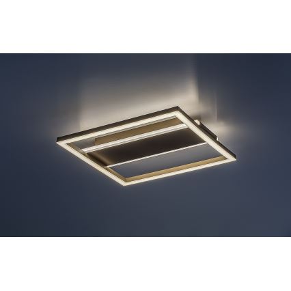 Rabalux - LED stropna svetilka LED/24W/230V 33x33 cm