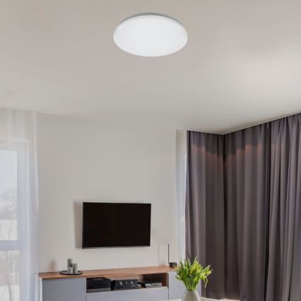Rabalux - LED stropna svetilka LED/12W/230V 4000K premer 25,5 cm