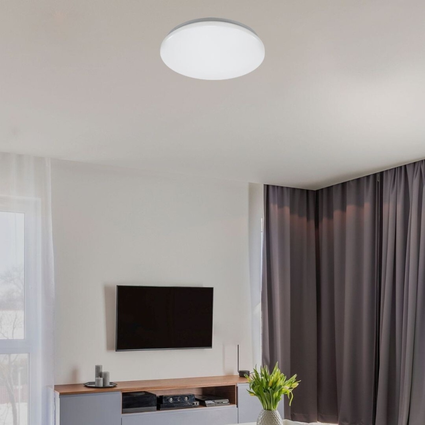 Rabalux - LED stropna svetilka LED/12W/230V 4000K premer 25,5 cm