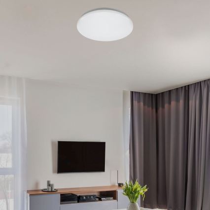 Rabalux - LED stropna svetilka LED/24W/230V 4000K, premer 37,5 cm