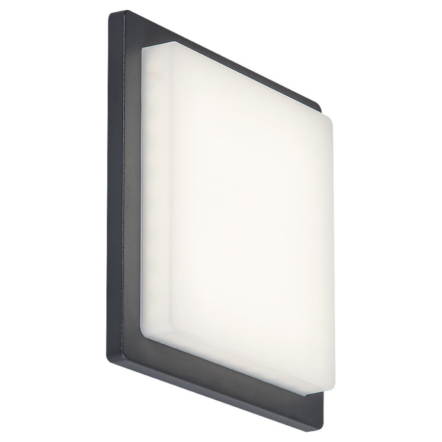 Rabalux - LED Zunanja stenska svetilka LED/8W/230V IP65