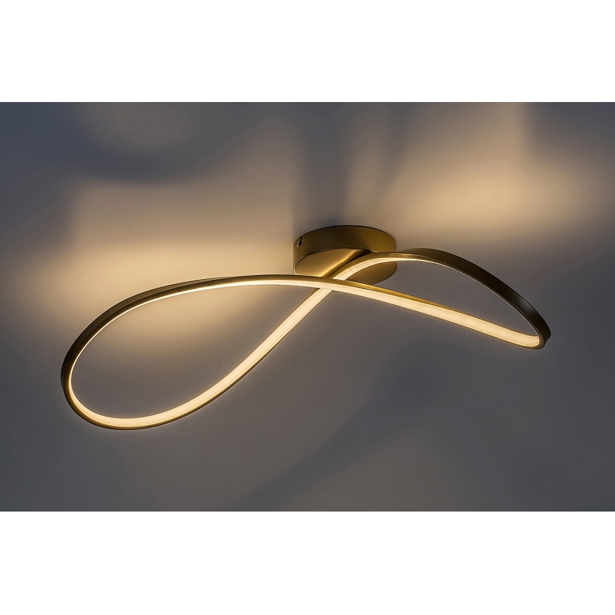 Rabalux - LED Stropna svetilka LED/30W/230V 3000K