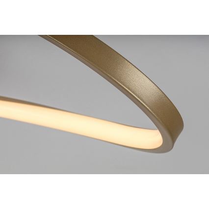 Rabalux - LED Stropna svetilka LED/30W/230V 3000K