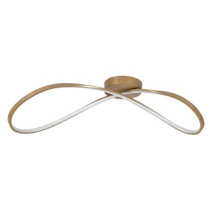 Rabalux - LED Stropna svetilka LED/30W/230V 3000K