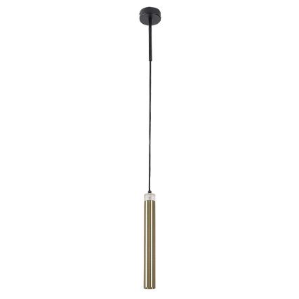 Rabalux - LED Lestenec na vrvici LED/10W/230V 4000K črna/zlata