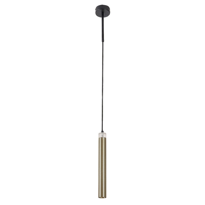 Rabalux - LED Lestenec na vrvici LED/10W/230V 4000K črna/zlata