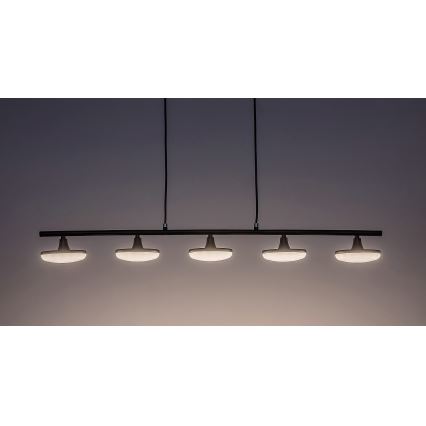 Rabalux - LED Lestenec na vrvici 5xLED/4W/230V 3000K