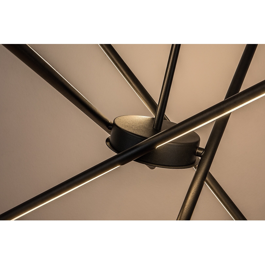 Rabalux - LED Lestenec na vrvici LED/40W/230V 3000K črna