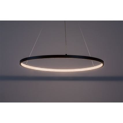 Rabalux - LED lestenec na kablu LED/55W/230V 3000K
