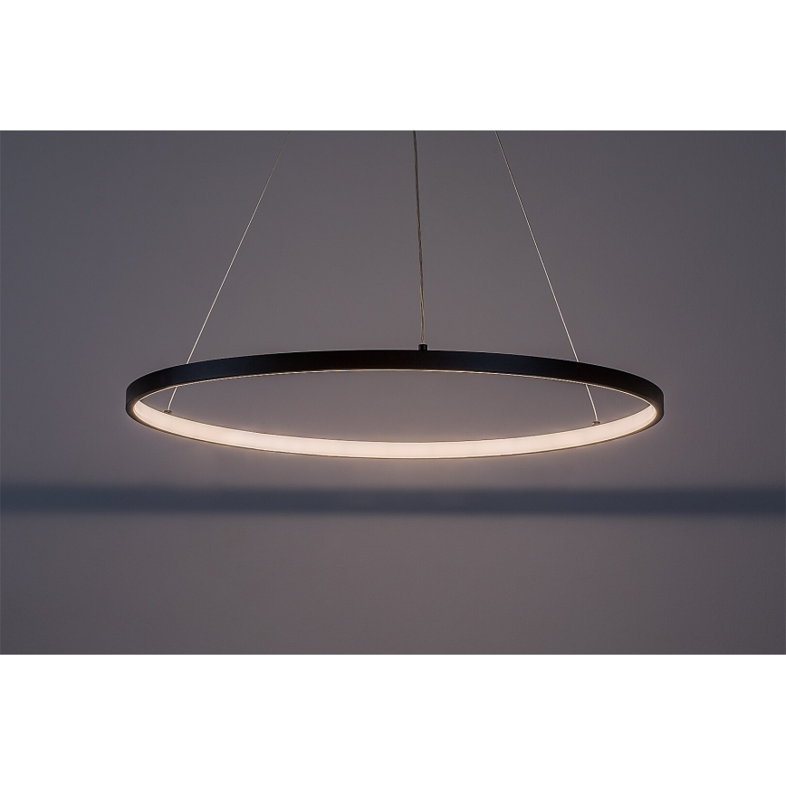 Rabalux - LED lestenec na kablu LED/55W/230V 3000K