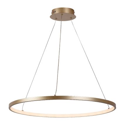 Rabalux - LED lestenec na kablu LED/55W/230V 3000K