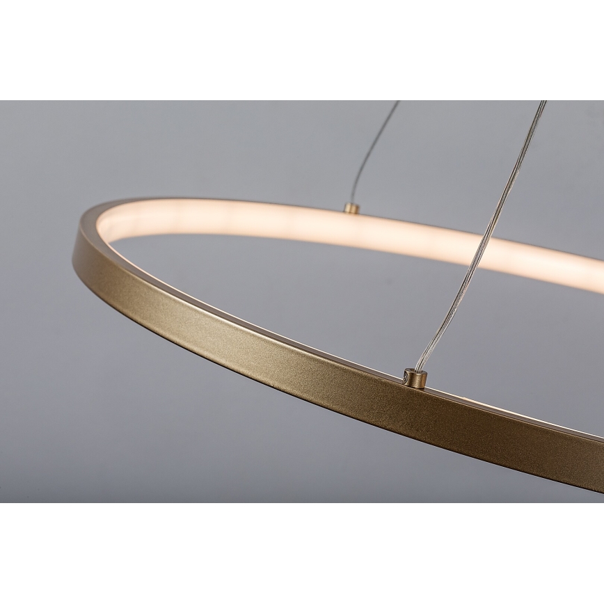 Rabalux - LED lestenec na kablu LED/55W/230V 3000K