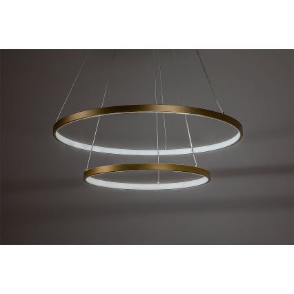 Rabalux - LED zatemnjevalni lestenec na kablu LED/75W/230V 3000-6500K + daljinski upravljalnik