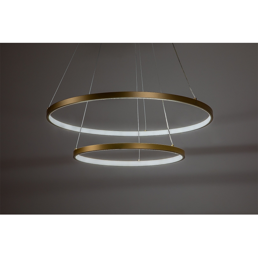 Rabalux - LED zatemnjevalni lestenec na kablu LED/75W/230V 3000-6500K + daljinski upravljalnik