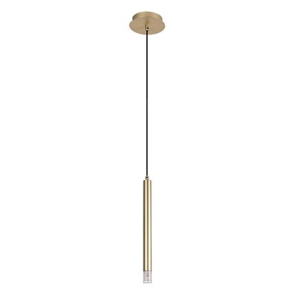Rabalux - Lestenec na vrvici 1xG9/5W/230V zlata