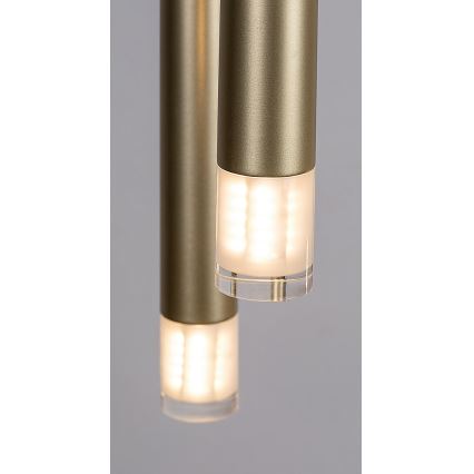Rabalux - Lestenec na vrvici 5xG9/5W/230V zlata