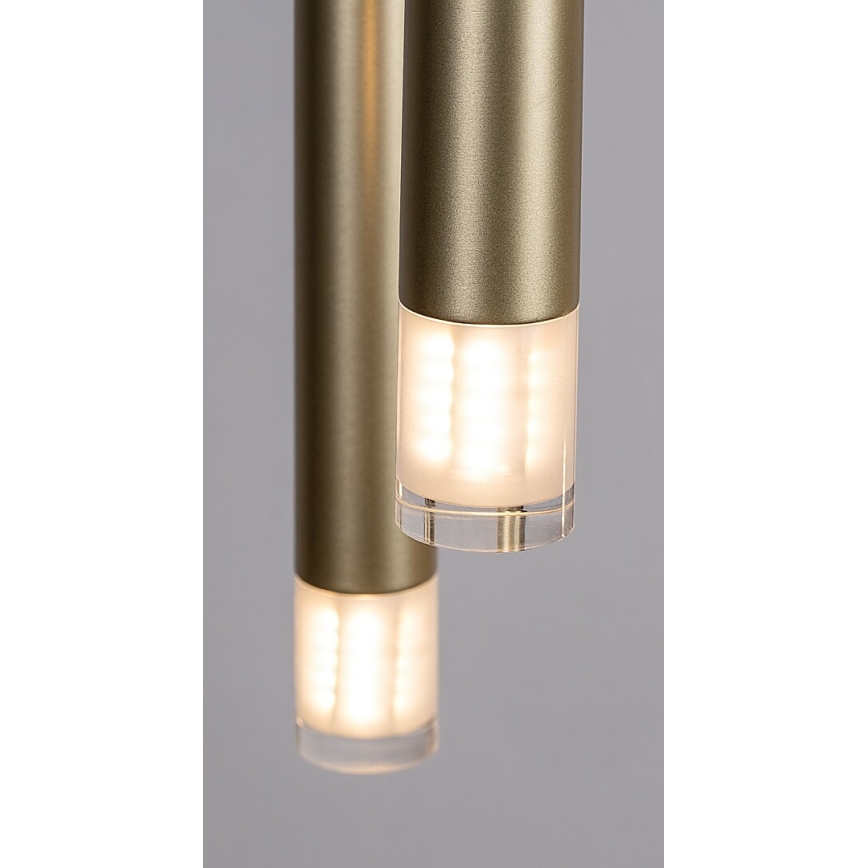 Rabalux - Lestenec na vrvici 5xG9/5W/230V zlata
