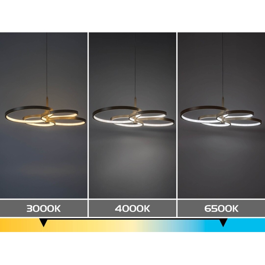 Rabalux - LED lestenec na kablu z možnostjo zatemnitve LED/70W/230V 3000-6500K + daljinski upravljalnik