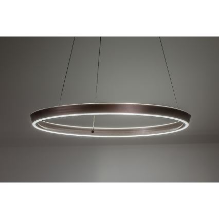 Rabalux - LED zatemnljiv lestenec na kablu LED/36W/230V 3000-6500K + daljinski upravljalnik