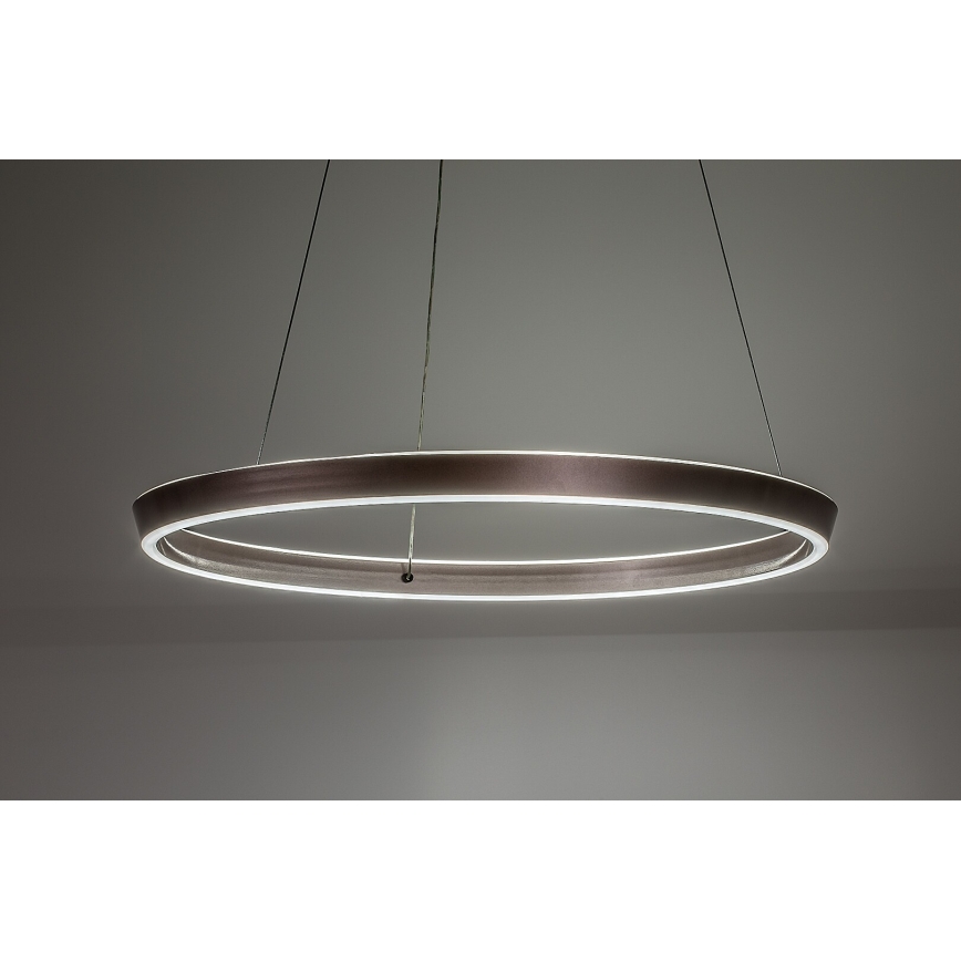 Rabalux - LED zatemnljiv lestenec na kablu LED/36W/230V 3000-6500K + daljinski upravljalnik
